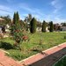 Camin pentru persoanele varstnice Martha Buftea